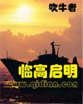 一树梨花压海棠电影未删减版